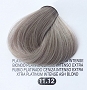  Terme Pro Hair Color 11.12 100 ml 