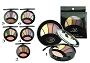  BR Elegant Blusher Kit #1 