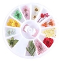  Amazing Shine Dry Flowers 6/Pack 