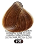  Terme Pro Hair Color 700 100 ml 