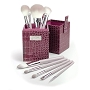  Luxe Brushes 11 pc Sassy Box 