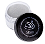  INM Acrylic Holo Silver .5 oz 