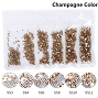  Rhinestones Multi Sz Champagne 1700/Pack 