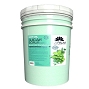  La Palm Sugar Scrub Spearmint Bucket 