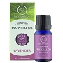  Essential Oil Lavender 10 ml 