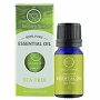  Essential Oil Tea Tree 10 ml 