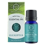  Essential Oil Eucalyptus 10 ml 