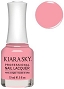  KS N648 Juicy 15 ml 