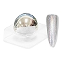  Aora Metallic Holo SLV Chrome 1 g 