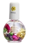  Blossom Cuticle Oil Hibiscus .5 oz 