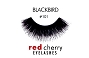  Red Cherry Lashes 101 Blackbird 