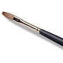  OPI Golden Edge Brush 