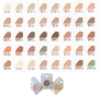  DC Palette Refill Inserts 4 g 