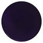 NSI Acrylic Plum 7 g 